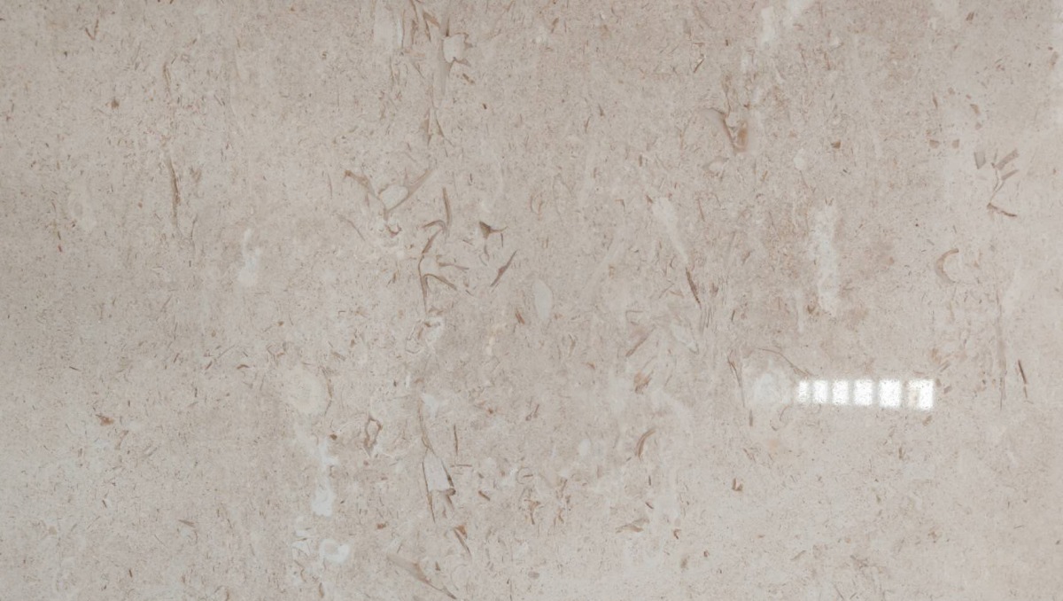 Close-up of shell fossils, fine sedimentary grains and natural pores in Moon Beige limestone